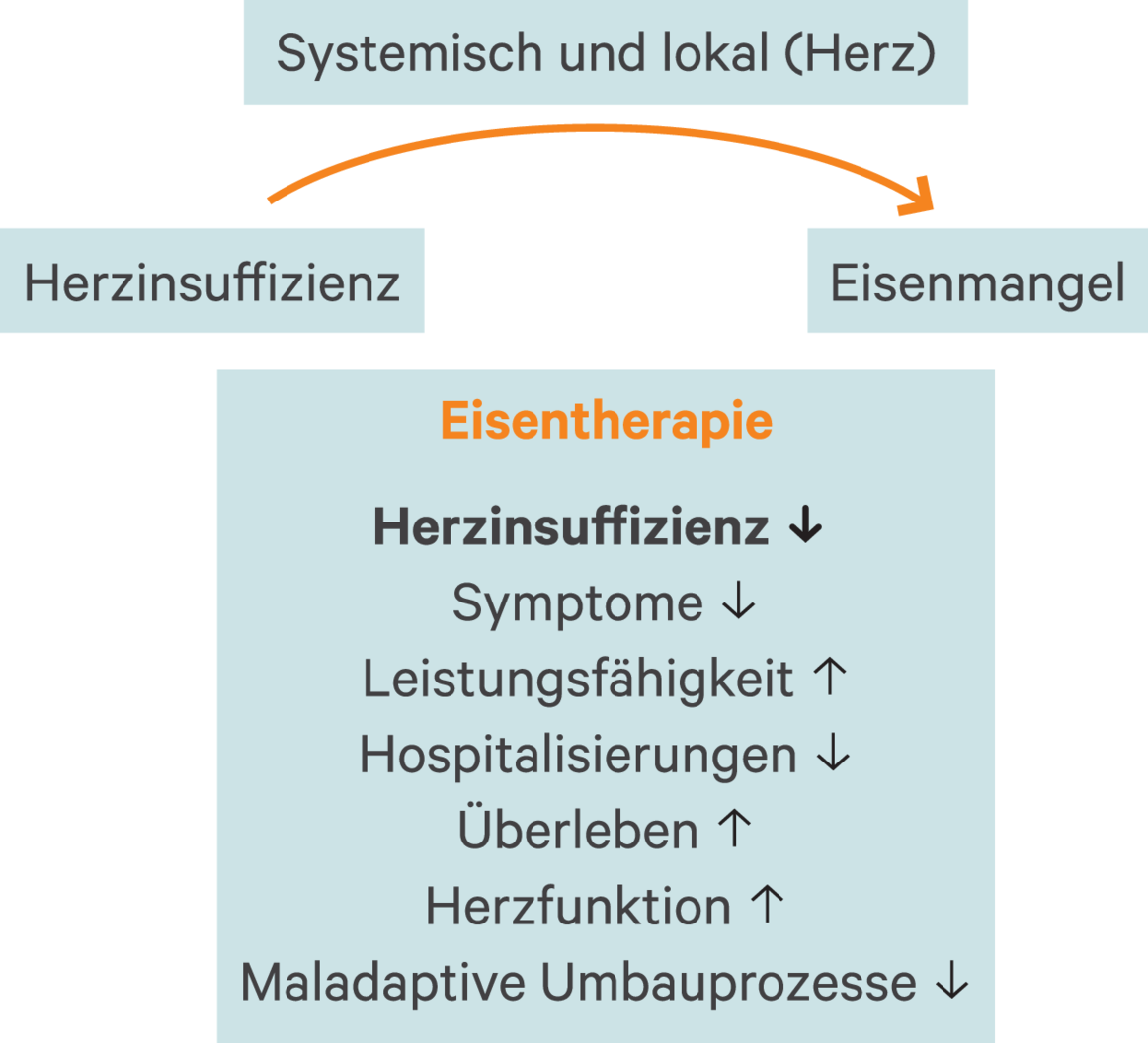 Eiseninfusionen Bessern Die Symptomatik Und Steigern Die ...