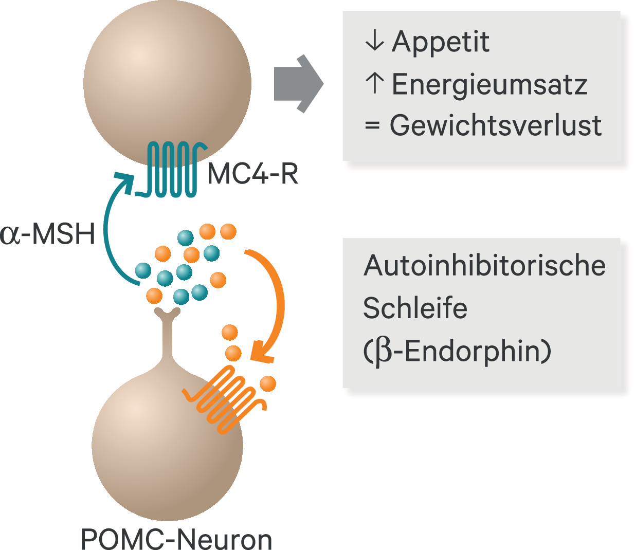 Naltrexon Bupropion Kaufen