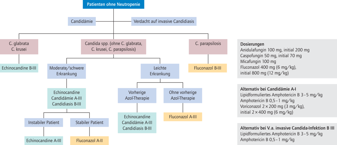 aktualisierte-idsa-leitlinie-zur-behandlung-invasiver-candida