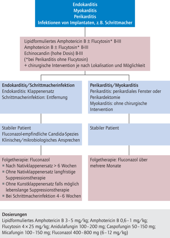 candida-auris-dispatch-from-an-outbreak