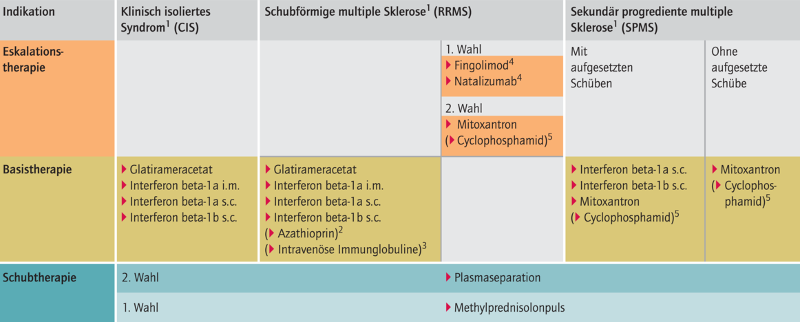 Neue S2e-Leitlinie Zur Diagnose Und Therapie Der MS Gibt Empfehlungen ...